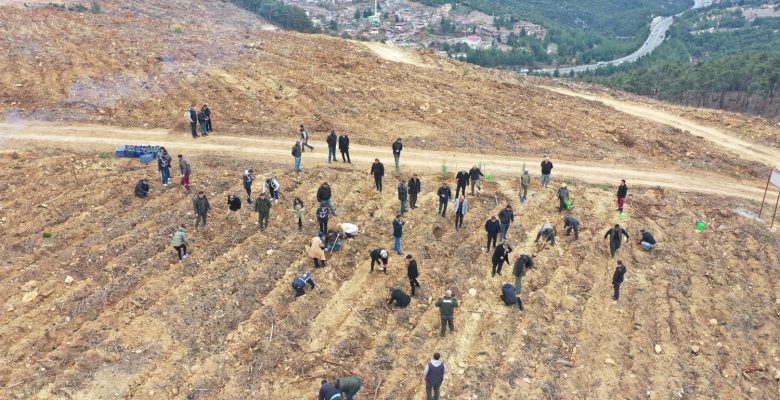 2025 ULUSLARARASI KOOPERATİFLER YILI ANISINA HATIRA ORMANI