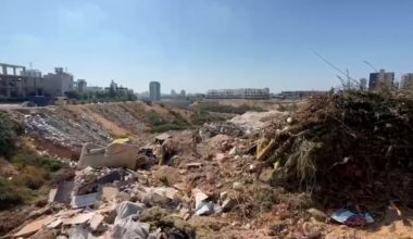 ÇEVRE, ŞEHİRCİLİK VE İKLİM DEĞİŞİKLİĞİ MERSİN İL MÜDÜRLÜĞÜ, ÇEVRE KİRLİLİĞİNE GEÇİT VERMİYOR