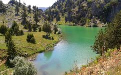 17 KIRSAL MAHALLE 10 SANİYEDE ŞEHİR YAPILDI! BU ISRAR NEDEN?