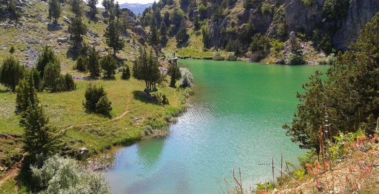 17 KIRSAL MAHALLE 10 SANİYEDE ŞEHİR YAPILDI! BU ISRAR NEDEN?