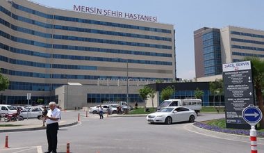 MERSİN’DE KÜÇÜK ÇOCUK KÖPEK SALDIRISI SONUCU AĞIR YARALANDI: ANKARA’YA SEVK EDİLDİ