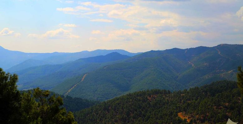 KIRSAL MAHALLE STATÜ TARTIŞMASI: KÖYLERİN KADERİ BÜYÜKŞEHİR’DE BELİRLENECEK