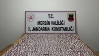 JANDARMADAN UYUŞTURUCU OPERASYONU